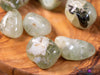 PREHNITE Tumbled Stones - Tumbled Crystals, Self Care, Healing Crystals and Stones, E0150-Throwin Stones