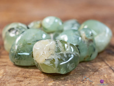 PREHNITE Tumbled Stones - Tumbled Crystals, Self Care, Healing Crystals and Stones, E0150-Throwin Stones