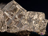 PYRITE Raw Crystal Cluster - Housewarming Gift, Home Decor, Raw Crystals and Stones, 40309-Throwin Stones