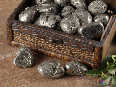 PYRITE Tumbled Stones - Fools Gold - Tumbled Crystals, Self Care, Healing Crystals and Stones, E0231-Throwin Stones