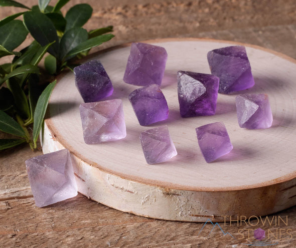 Purple FLUORITE Raw Crystal Octahedrons - Sacred Geometry, Metaphysical, Healing Crystals and Stones, E0623-Throwin Stones