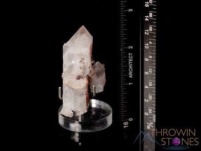 QUARTZ Raw Crystal Cluster w Specular HEMATITE - Housewarming Gift, Home Decor, Raw Crystals and Stones, 40100-Throwin Stones