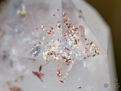 QUARTZ Raw Crystal Point w HEMATITE - Housewarming Gift, Home Decor, Raw Crystals and Stones, 39905-Throwin Stones