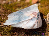 QUARTZ Raw Crystal Point w HEMATITE - Housewarming Gift, Home Decor, Raw Crystals and Stones, 39908-Throwin Stones
