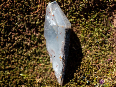 QUARTZ Raw Crystal Point w HEMATITE - Housewarming Gift, Home Decor, Raw Crystals and Stones, 39913-Throwin Stones