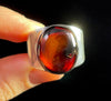 RED AMBER Ring - Sterling Silver, Size 10.5 - Amber Stone, Crystal Ring, Fine Jewelry, Healing Crystals and Stones, 52634-Throwin Stones