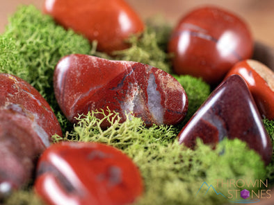 RED JASPER Tumbled Stones - Tumbled Crystals, Self Care, Healing Crystals and Stones, E0021-Throwin Stones