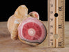 RHODOCHROSITE Crystal - Stalactite - Home Decor, Unique Gift, Healing Crystals and Stones, 38306-Throwin Stones