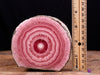 RHODOCHROSITE Crystal Stalactite Slice - Museum Grade, Large Specimen, 49362-Throwin Stones