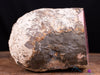 RHODOCHROSITE Crystal Stalactite Slice - Museum Grade, Large Specimen, 49362-Throwin Stones