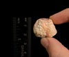 RHODOCHROSITE Crystal Stalactite Slice - Rhodochrosite Specimen, Raw Crystals and Stones, 49585-Throwin Stones