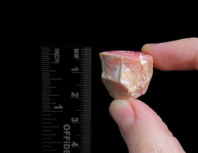 RHODOCHROSITE Crystal Stalactite Slice - Rhodochrosite Specimen, Raw Crystals and Stones, 49588-Throwin Stones