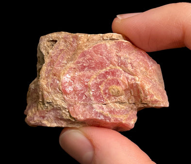 RHODOCHROSITE Crystal Stalactite Slice - Rhodochrosite Specimen, Raw Crystals and Stones, 49778-Throwin Stones