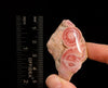 RHODOCHROSITE Crystal Stalactite Slice - Rhodochrosite Specimen, Raw Crystals and Stones, 49786-Throwin Stones