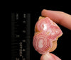RHODOCHROSITE Crystal Stalactite Slice - Rhodochrosite Specimen, Raw Crystals and Stones, 49790-Throwin Stones