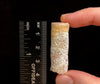 RHODOCHROSITE Crystal Stalactite Slice - Rhodochrosite Specimen, Raw Crystals and Stones, 49794-Throwin Stones