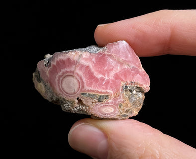 RHODOCHROSITE Crystal Stalactite Slice - Rhodochrosite Specimen, Raw Crystals and Stones, 49830-Throwin Stones