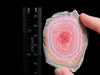 RHODOCHROSITE Crystal Stalactite Slice - Rhodochrosite Specimen, Raw Crystals and Stones, 49833-Throwin Stones