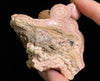 RHODOCHROSITE Crystal Stalactite Slice - Rhodochrosite Specimen, Raw Crystals and Stones, 49863-Throwin Stones