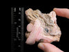 RHODOCHROSITE Crystal Stalactite Slice - Rhodochrosite Specimen, Raw Crystals and Stones, 49863-Throwin Stones