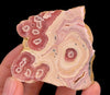 RHODOCHROSITE Crystal Stalactite Slice - Rhodochrosite Specimen, Raw Crystals and Stones, 52440-Throwin Stones