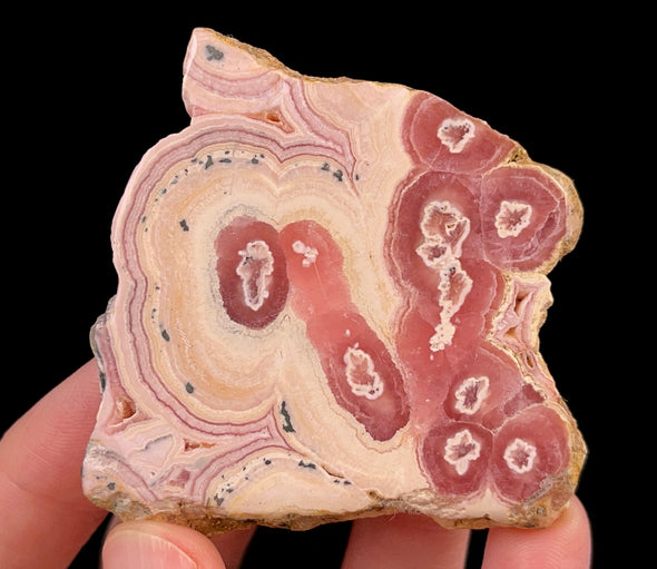 RHODOCHROSITE Crystal Stalactite Slice - Rhodochrosite Specimen, Raw Crystals and Stones, 52440-Throwin Stones