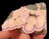 RHODOCHROSITE Crystal Stalactite Slice - Rhodochrosite Specimen, Raw Crystals and Stones, 52442-Throwin Stones