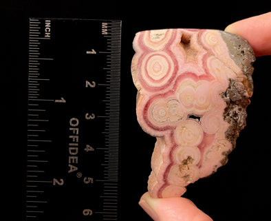 RHODOCHROSITE Crystal Stalactite Slice - Rhodochrosite Specimen, Raw Crystals and Stones, 52442-Throwin Stones