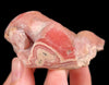 RHODOCHROSITE Crystal Stalactite Slice - Rhodochrosite Specimen, Raw Crystals and Stones, 52449-Throwin Stones