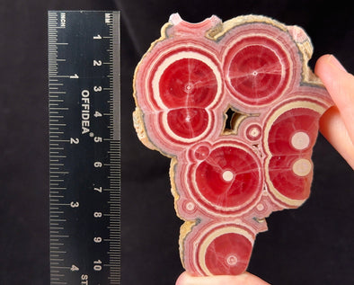 RHODOCHROSITE Crystal Stalactite Slice - Rhodochrosite Specimen, Raw Rocks and Minerals, 54691-Throwin Stones