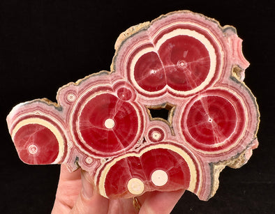 RHODOCHROSITE Crystal Stalactite Slice - Rhodochrosite Specimen, Raw Rocks and Minerals, 54691-Throwin Stones