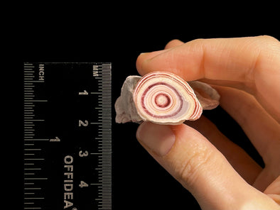 RHODOCHROSITE Crystal Stalactite Slice - Rhodochrosite Stone Large, Rhodochrosite Specimen, 48582-Throwin Stones