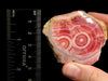 RHODOCHROSITE Crystal Stalactite Slice - Rhodochrosite Stone Large, Rhodochrosite Specimen, 48585-Throwin Stones