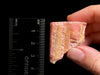 RHODOCHROSITE Crystal Stalactite Slice - Rhodochrosite Stone Large, Rhodochrosite Specimen, 48587-Throwin Stones