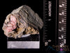 RHODOCHROSITE Raw Crystal Cluster Druzy - Rhodochrosite Specimen, Raw Crystals and Stones, 40001-Throwin Stones