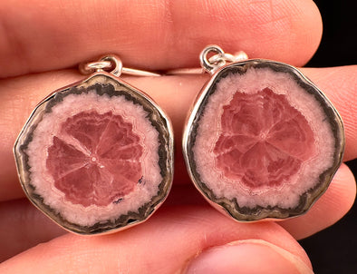 RHODOCHROSITE Stalactite Slice Earrings Argentina - Genuine Pink Rhodochrosite, Sterling Silver, Drop Earrings, 53710-Throwin Stones