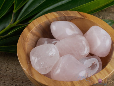 ROSE QUARTZ Tumbled Stones - Tumbled Crystals, Birthstone, Self Care, Healing Crystals and Stones, E1407-Throwin Stones