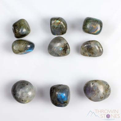 Rainbow Blue LABRADORITE STONE Crystals - Tumbled Healing Stones, Self Care Gift, E0210-Throwin Stones