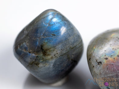 Rainbow Blue LABRADORITE STONE Crystals - Tumbled Healing Stones, Self Care Gift, E0210-Throwin Stones