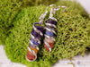 Rainbow CHAKRA Crystal Earrings - Wire Wrapped Jewelry, Crystal Points, Dangle Earrings, E1393-Throwin Stones