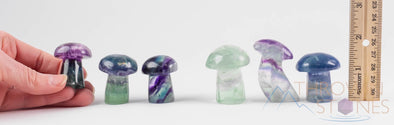 Rainbow FLUORITE Crystal Mushroom - Fluorite Figurines, Crystal Carving, Hippie Home Decor, E1597-Throwin Stones