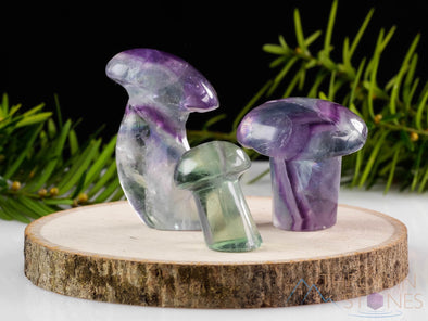 Rainbow FLUORITE Crystal Mushroom - Fluorite Figurines, Crystal Carving, Hippie Home Decor, E1597-Throwin Stones