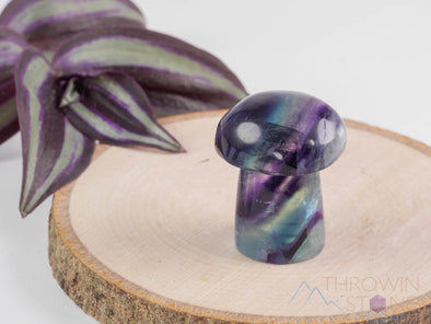 Rainbow FLUORITE Crystal Mushroom - Fluorite Figurines, Crystal Carving, Hippie Home Decor, E1597-Throwin Stones