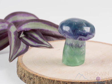 Rainbow FLUORITE Crystal Mushroom - Fluorite Figurines, Crystal Carving, Hippie Home Decor, E1597-Throwin Stones