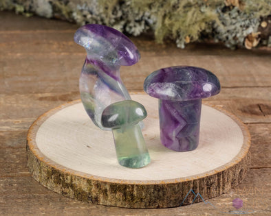 Rainbow FLUORITE Crystal Mushroom - Large - Fluorite Figurines, Crystal Carving, Hippie Home Decor, E1809-Throwin Stones