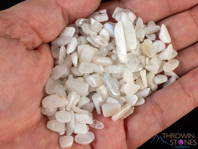Rainbow MOONSTONE Crystal Chips - Small Crystals, Gemstones, Jewelry Making, Tumbled Crystals, E1764-Throwin Stones