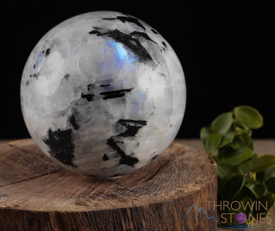 Rainbow MOONSTONE Crystal Sphere - Crystal Ball, Housewarming Gift, Home Decor, E0372-Throwin Stones