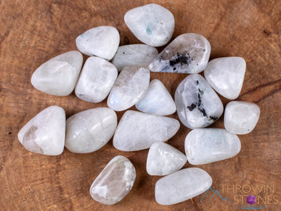 Rainbow MOONSTONE Tumbled Stones - Tumbled Crystals, Self Care, Healing Crystals and Stones, E1915-Throwin Stones
