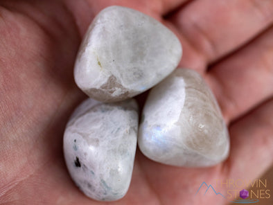 Rainbow MOONSTONE Tumbled Stones - Tumbled Crystals, Self Care, Healing Crystals and Stones, E1915-Throwin Stones