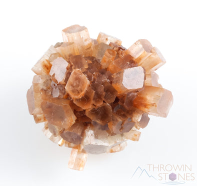 Raw ARAGONITE Crystal Cluster Star - Metaphysical, Raw Rocks and Minerals, Home Decor, E1076-Throwin Stones